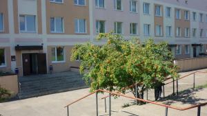 Прием областного специалиста