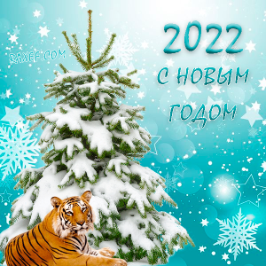 Поздравление с Новым 2022 годом