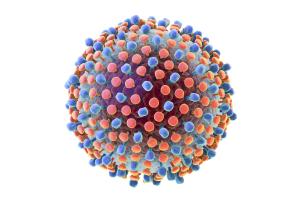 Методические рекомендации для населения  по профилактике вирусного гепатита С